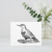 Vrouw Northern Flicker Briefkaart (Staand voorkant)