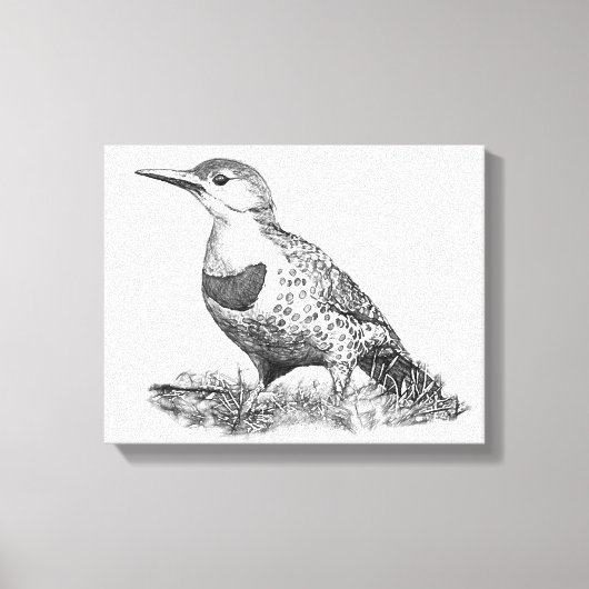 Vrouw Northern Flicker Canvas Afdruk (Voorkant)