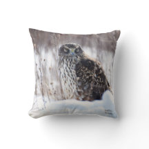 Vrouw Northern Harrier