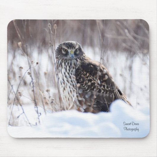 Vrouw Northern Harrier Muismat (Voorkant)