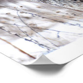 Vrouw Northern Harrier Poster (Hoek)