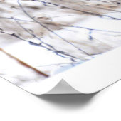 Vrouw Northern Harrier Poster (Hoek)