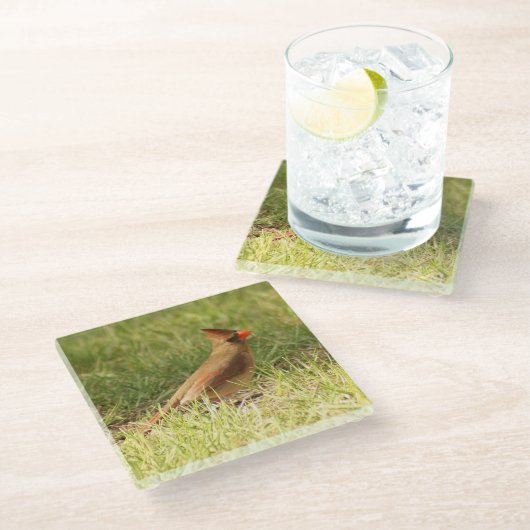 Vrouw Onderzetter van fotoglas in kardinaal Glazen Onderzetter (Schuin)