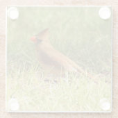 Vrouw Onderzetter van fotoglas in kardinaal Glazen Onderzetter (Achterkant)