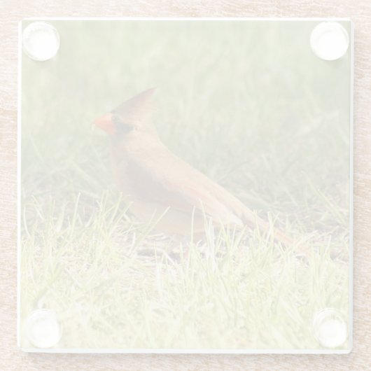 Vrouw Onderzetter van fotoglas in kardinaal Glazen Onderzetter (Achterkant)