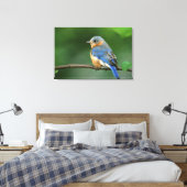 Vrouw Oostelijke Blauwvogel, Sialia sialis Canvas Afdruk (Insitu (Slaapkamer))