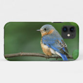 Vrouw Oostelijke Blauwvogel, Sialia sialis Case-Mate iPhone Case (Achterkant (horizontaal))