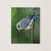 Vrouw Oostelijke Blauwvogel, Sialia sialis Legpuzzel (Verticaal)