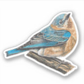 Vrouw Oostelijke Bluebird Sticker (Voorkant)