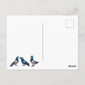Vrouw op bank met duiven Design Briefkaart (Achterkant)