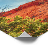 Vrouw op het poster van de rotschiropractisch (Hoek)