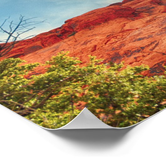 Vrouw op het poster van de rotschiropractisch (Hoek)