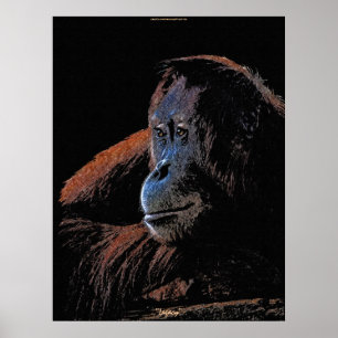 Vrouw Orangutan Great Ape Wildlife Art Poster