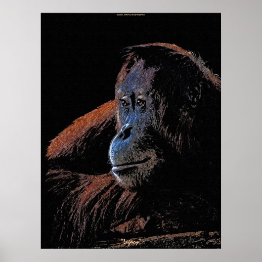 Vrouw Orangutan Great Ape Wildlife Art Poster (Voorkant)