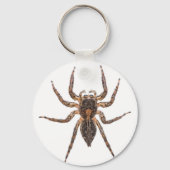 Vrouw Pantropical Jumping Spider Sleutelhanger (Voorkant)