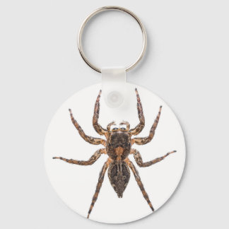 Vrouw Pantropical Jumping Spider Sleutelhanger