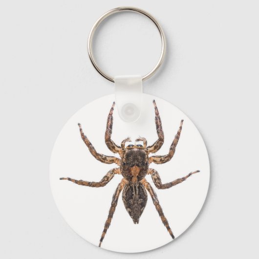 Vrouw Pantropical Jumping Spider Sleutelhanger (Voorkant)