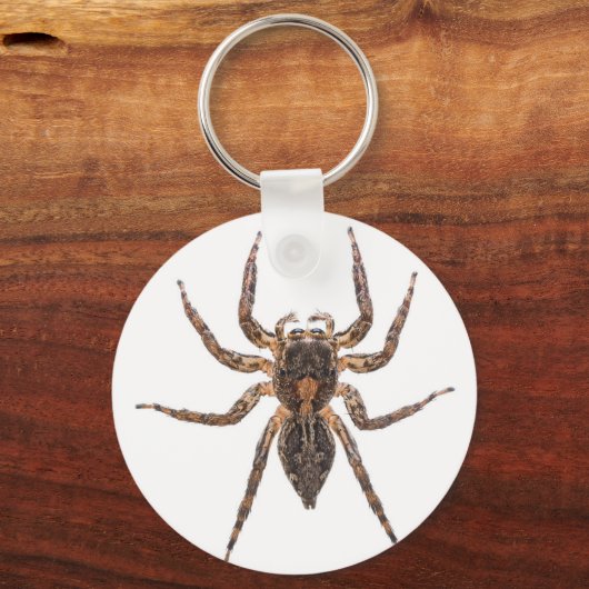 Vrouw Pantropical Jumping Spider Sleutelhanger (Voorkant)