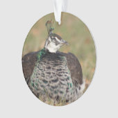 Vrouw Peacock ornament (voorkant)