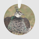 Vrouw Peacock ornament (voorkant)