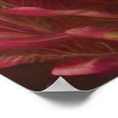 Vrouw, Peacock, Rode bloemen en hart Poster (Hoek)