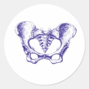 Vrouw Pelvis Blue Ronde Sticker