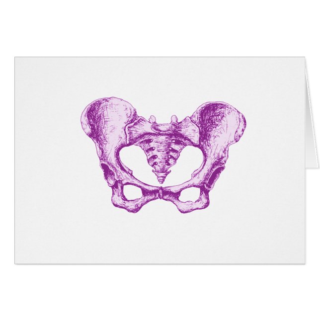 Vrouw Pelvis Paars (Voorkant Horizontaal)