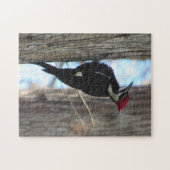 Vrouw Pileated Woodpecker - Bird - Puzzle Legpuzzel (Horizontaal)