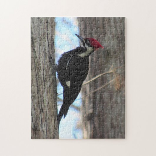 Vrouw Pileated Woodpecker - Bird - Puzzle Legpuzzel (Verticaal)