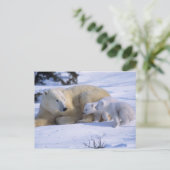 Vrouw polair Beer met 2 coyscubs Briefkaart (Staand voorkant)