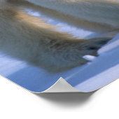 Vrouw Polar Beer met 2 kubussen bij haar Poster (Hoek)