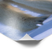 Vrouw Polar Beer Staande met 2 Welpen Foto Afdruk (Hoek)