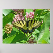 Vrouw Poster Oostelijk tijger Swallowtail Butterfl (Voorkant)