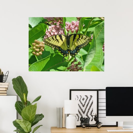 Vrouw Poster Oostelijk tijger Swallowtail Butterfl (Thuiskantoor)