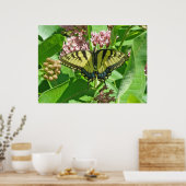 Vrouw Poster Oostelijk tijger Swallowtail Butterfl (Keuken)