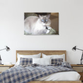 Vrouw Ragdoll Cat Canvas Afdruk (Insitu (Slaapkamer))
