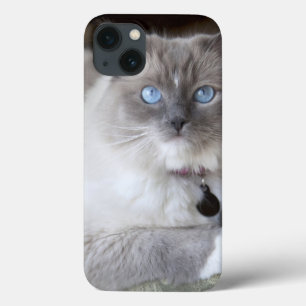 Vrouw Ragdoll Cat iPhone 13 Hoesje