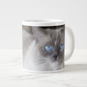 Vrouw Ragdoll Cat Grote Koffiekop