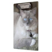 Vrouw Ragdoll Cat Klembord (Links)