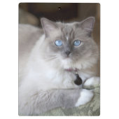 Vrouw Ragdoll Cat Klembord (Achterkant)