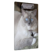 Vrouw Ragdoll Cat Klembord (Rechts)