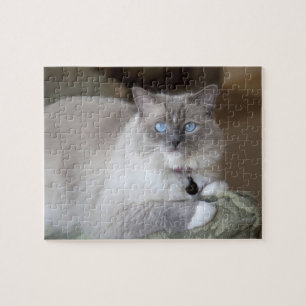 Vrouw Ragdoll Cat Legpuzzel