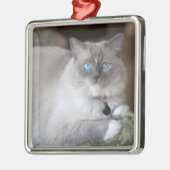 Vrouw Ragdoll Cat Metalen Ornament (Links)