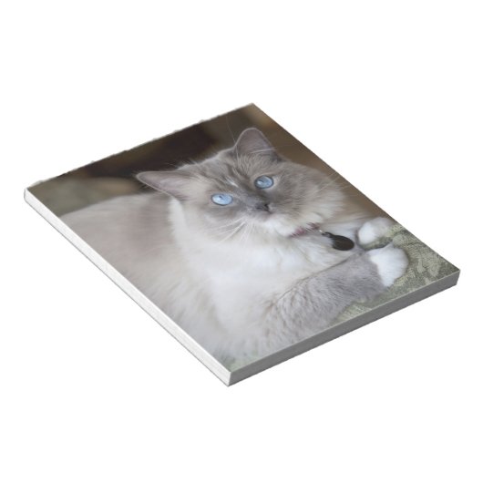 Vrouw Ragdoll Cat Notitieblok (Schuin)