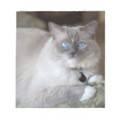 Vrouw Ragdoll Cat Notitieblok (Voorkant)