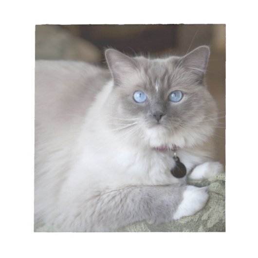 Vrouw Ragdoll Cat Notitieblok (Voorkant)