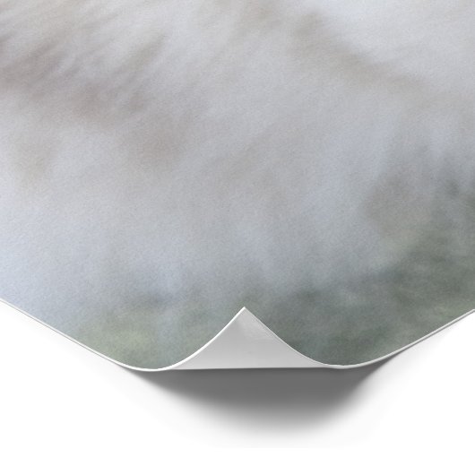 Vrouw Ragdoll Cat Poster (Hoek)