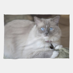 Vrouw Ragdoll Cat Theedoek