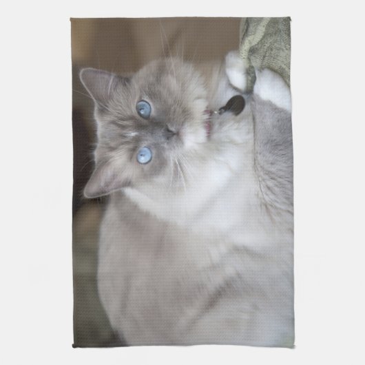 Vrouw Ragdoll Cat Theedoek (Verticaal)