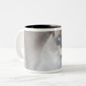 Vrouw Ragdoll Cat Tweekleurige Koffiemok (Voorkant links)